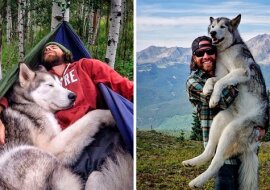 Pies Loki zawsze podróżuje ze swoim właścicielem Kellym. Mężczyzna krytykuje tych, którzy zamykają psa w mieszkaniu