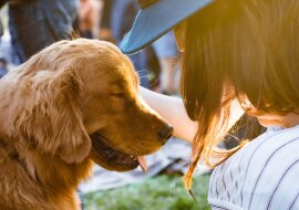 To właśnie robi miłość: zdjęcia przed i po bezpańskich psów