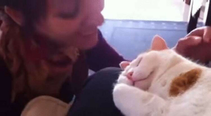 Kobieta całuje swojego kota. Reakcja zwierzęcia jest wyjątkowa