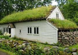 Dlaczego na dachach skandynawskich domów rośnie trawa