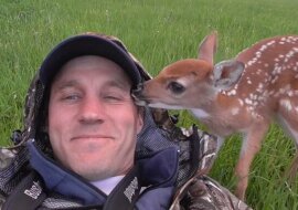 Mały jelonek nie chce opuszczać swojego ratownika. Zobacz, jakie ma wyrazy wdzięczności