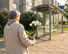 Syn z synową poprosili, żebym przez wakacje podlewała ich kwiaty i karmiła kota. Po dwóch tygodniach wrócili z Grecji i powiedzieli, że storczyk uschł