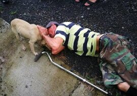 Wszyscy przechodzili obok leżącego na ziemi starszego mężczyzny. Tylko pies starał się ocalić właściciela