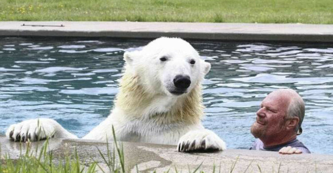 Mężczyzna przyjaźni się z niedźwiedziem polarnym od 23 lat. Nawet pływają razem