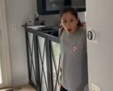 Niespodzianka: pogrom zrobiony przez psa zdziwił właścicieli. Wideo
