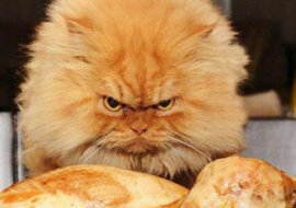 Dlaczego ludzie się złoszczą, kiedy są głodni