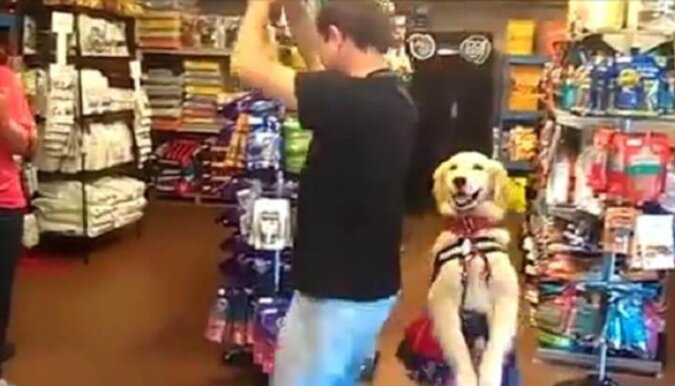 Pies tańczy salsę z właścicielem