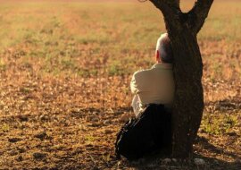 Jak prawidłowo wykorzystać energię drzew: 3 kroki