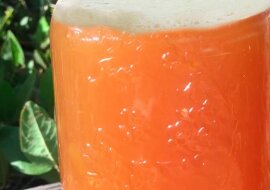 Magiczny „eliksir” dla roślin - szybko kwitną i zbiory są ogromne