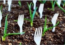 Odkąd stosuje te sztuczki, ma najpiękniejszy ogród w całej okolicy