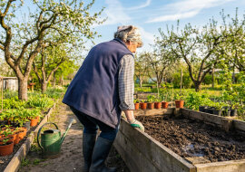 Wzięłam 30 tysięcy kredytu, żeby zięć mógł otworzyć warsztat. Warsztat zamknął po ośmiu miesiącach