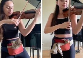 Filmik z dziewczyną grającą na skrzypcach dla kotka podbił cały Internet