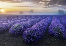 Niesamowity wybór zdjęć niezwykle pięknych cudów natury