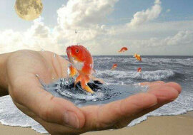 Aby marzenia się spełniły, należy przestrzegać zasady 3 dni