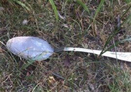 Dlaczego powinieneś zawsze zostawiać łyżkę z cukrem w swoim ogrodzie przed wyjściem z domu