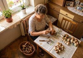 Syn od lat powtarza, żebym w moim wieku sama do lasu nie chodziła, "bo się zgubisz, mamo". Przez wrzesień punkt skupu przy szosie przyjął ode mnie czterdzieści kilo podgrzybków, pierwsza klasa. Pan przy wadze zapytał, gdzie takie rosną