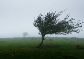 Najbardziej wytrwali znaki zodiaku