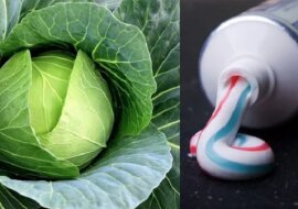 Sposób na szkodników kapuścianych z użyciem pasty do zębów
