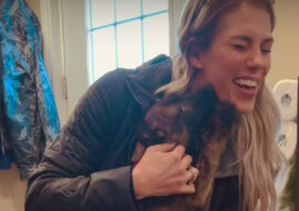 Niezrównana reakcja szczeniąt na powrót właściciela. Wideo