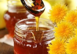 Miód z mniszka lekarskiego. Dwa zdrowe przepisy kulinarne