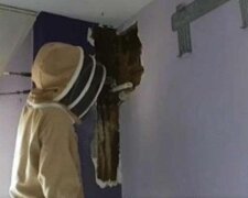 Mąż i żona znosili hałas za ścianą przez dwa lata, ale pewnego dnia nie mogli już więcej tego wytrzymać i postanowili ją wyburzyć