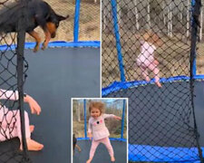 Pytanie, kto jest bardziej zadowolony: dziewczynka i jej pies skaczą na trampolinie