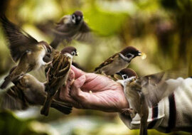 Trzy cechy, których należy szukać w ludziach