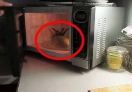 Kukurydza, która przygotowuje się w zaledwie 3 minuty. Ten facet ujawnił bardzo prosty sekret kulinarny