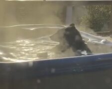 Niedźwiedź popływał w jacuzzi przed zdumionymi turystami. Wideo