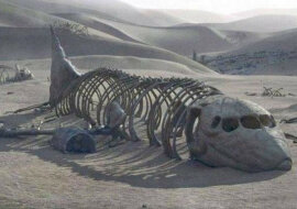 Samoloty starożytnej cywilizacji, które zdumiewały naukowców