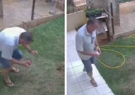 Chcesz pozbyć się kreta z ogrodu? Nigdy nie rób tego w ten sposób