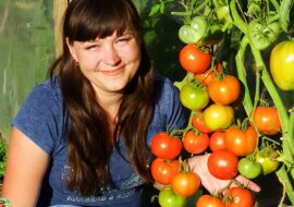 Szybka metoda podwiązywania pomidorów gruntowych bez patyczków – zajęło mi to jakieś 10 minut