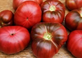 Pomidory nie lubią tego rodzaju nawozu. Przedstawiamy 3 rodzaje nawozów, o których warto zapomnieć