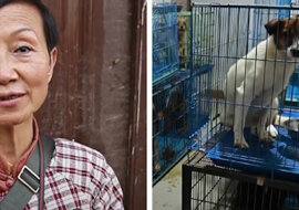 Kobieta z Chin adoptowała szczeniaka i nie mogła się zatrzymać. Teraz ma 1300 psów