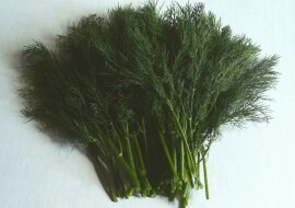 Świeży koperek przechowywałam przez tydzień na trzy różne sposoby. Wybrałam najlepszą metodę