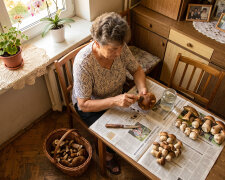 Syn od lat powtarza, żebym w moim wieku sama do lasu nie chodziła, "bo się zgubisz, mamo". Przez wrzesień punkt skupu przy szosie przyjął ode mnie czterdzieści kilo podgrzybków, pierwsza klasa. Pan przy wadze zapytał, gdzie takie rosną