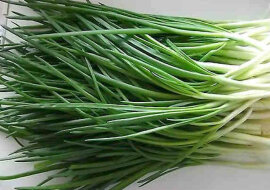 Genialna metoda uprawy zielonej cebulki bez ziemi i doniczki