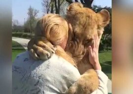 Wychowała dwa osierocone młode lwy, a następnie musiała wysłać je do zoo. Lata później spotkały się ponownie