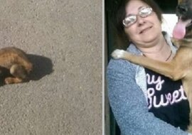 Życzliwe dziewczyny uratowały małego szczeniaka, który rozpaczliwie walczył o życie