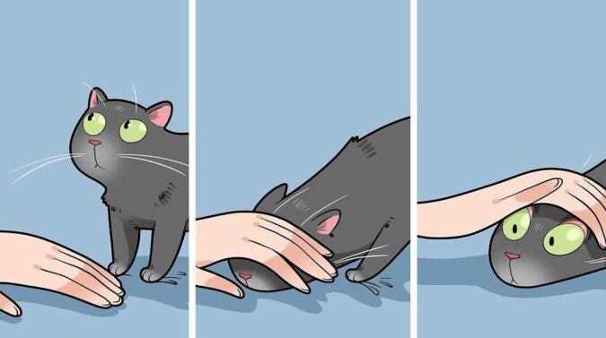 Dowcipny i szczery komiks o tym, jak to jest mieszkać z kotem