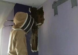 Mąż i żona znosili hałas za ścianą przez dwa lata, ale pewnego dnia nie mogli już więcej tego wytrzymać i postanowili ją wyburzyć