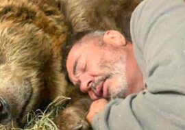 Małżeństwo ratuje małe niedwiedzie i dba o nich jak o własne dzieci