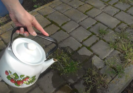Chwasty między płytkami w ogrodzie nie stanowią już problemu. Istnieją 3 niezawodne sposoby na pozbycie się ich