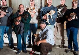 Aby uratować swoje szczenięta, bezpańska suczka wpadła na piknik i zmieniła życie ośmiu mężczyzn