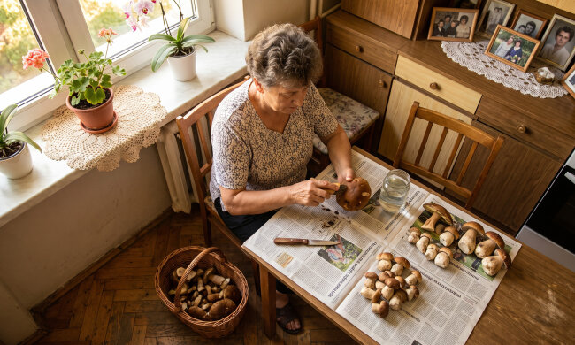 Syn od lat powtarza, żebym w moim wieku sama do lasu nie chodziła, "bo się zgubisz, mamo". Przez wrzesień punkt skupu przy szosie przyjął ode mnie czterdzieści kilo podgrzybków, pierwsza klasa. Pan przy wadze zapytał, gdzie takie rosną