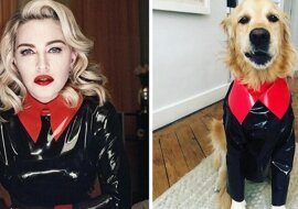 Fajne ujęcia psa, który odtworzył kultowe zdjęcia Madonny