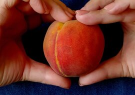 Pokażę sztuczkę, jak można podzielić brzoskwinię na małe plasterki za 30 sekund i oddzielić pestkę