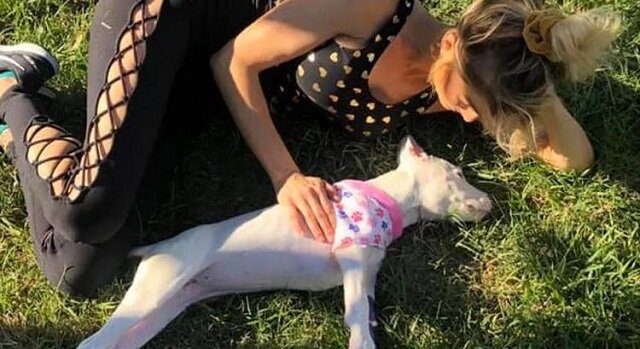 Dobra kobieta uratowała chorego psa, którego wszyscy porzucili
