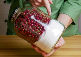 Aby nie marnować czasu na próżno, przygotowuję galaretkę z czerwonej porzeczki bez obierania z szypulek. Zobacz jak