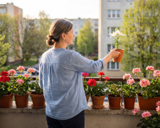 Mąż odszedł do młodszej dwa lata temu. W sobotę stał pod moimi drzwiami z walizką i lilią w doniczce - "twoją ulubioną". Ja lubię pelargonie. Lilie lubiła ona